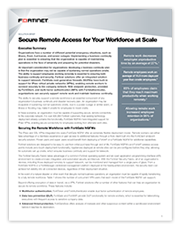Solution Brief: Secure Remote Access for your Workforce at Scale